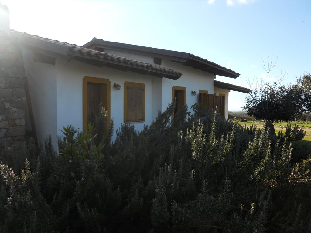Agriturismo Su Nuratolu Villa Sagama Exterior foto