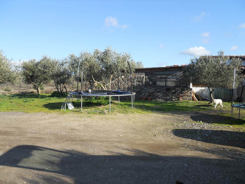 Agriturismo Su Nuratolu Villa Sagama Exterior foto